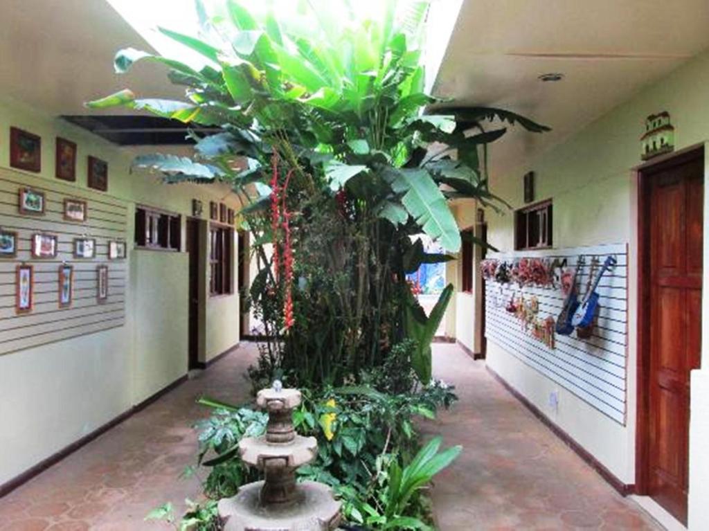 Art Hotel Managua Zewnętrze zdjęcie